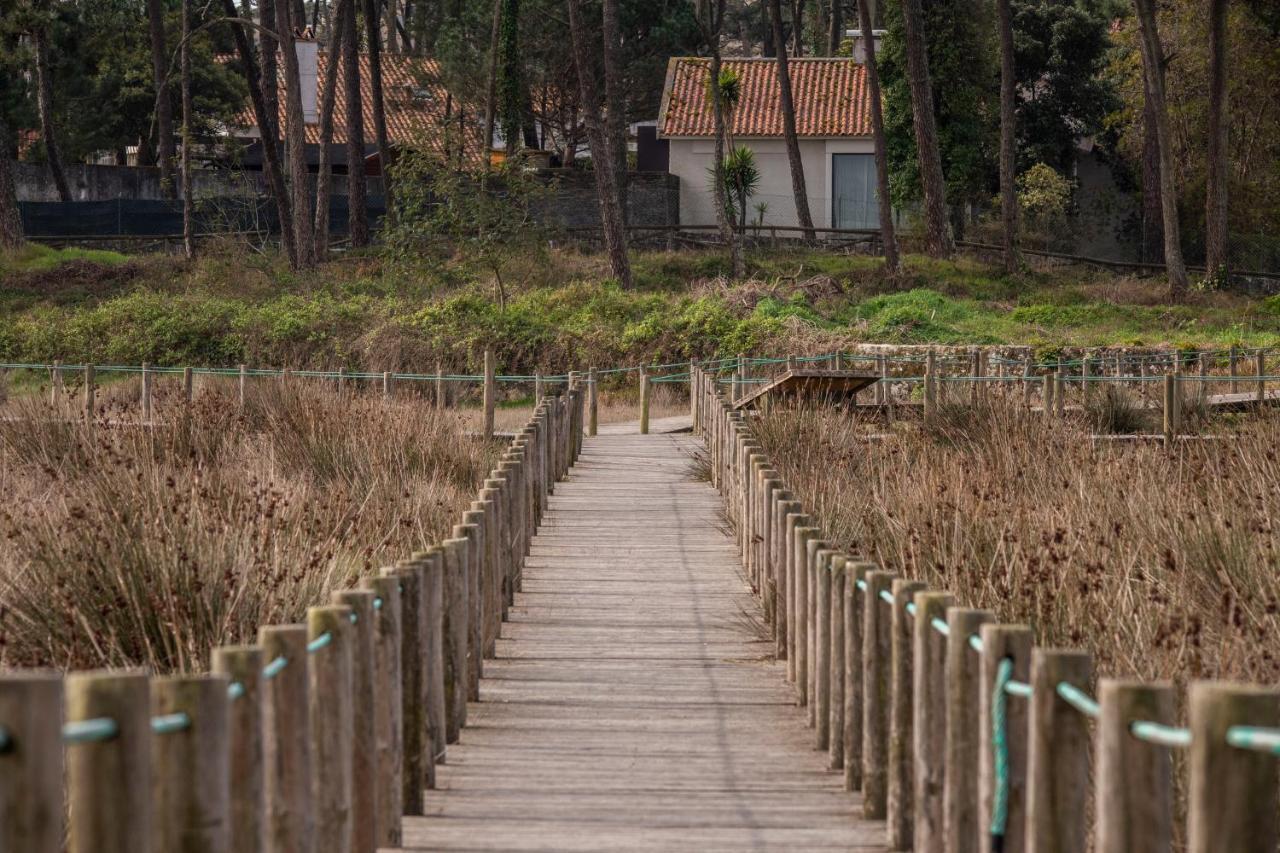 Bungalow B2 - Nature, Beach & River Ofir Ngoại thất bức ảnh